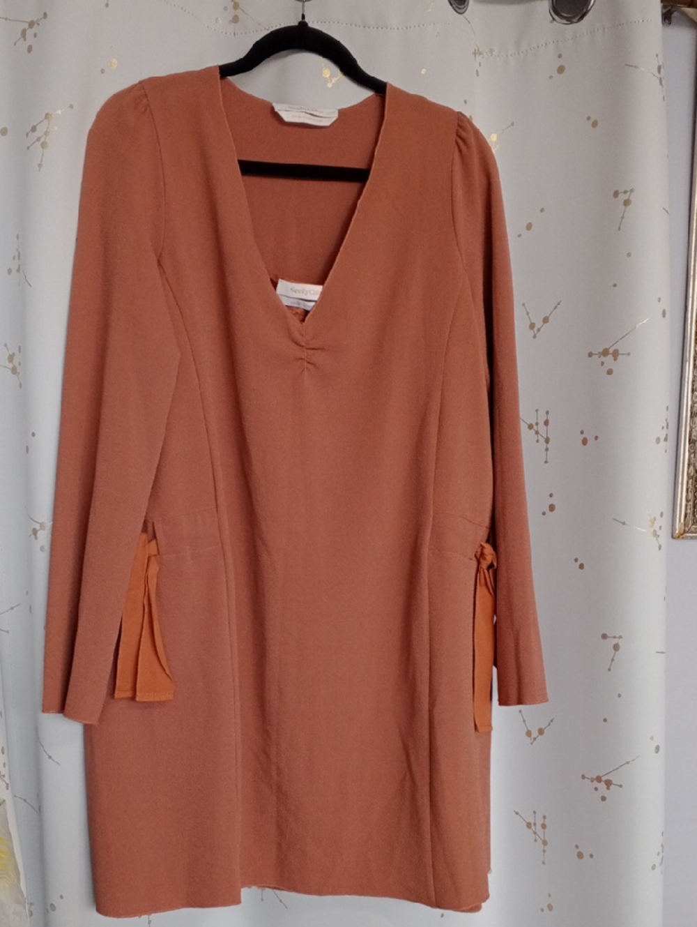 Long Sleeve V-Neck Midi Dress in Rust